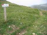 Tag9-035