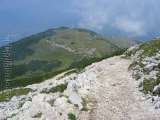 Tag9-045