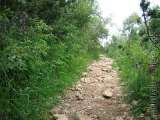 Tag9-048