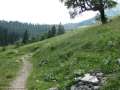 Tag1-055