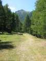 Tag6-014