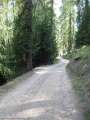 Tag6-084